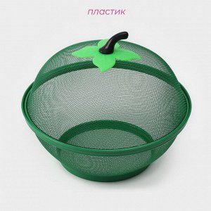 Сито с крышкой для хранения продуктов Доляна «Вкус», d=25 см, цвет МИКС