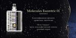 Ароматизатор Molecules Escentric 01