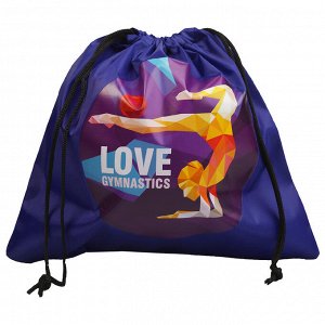 Чехол для гимнастического мяча Love gymnastics 28,5 х 29,7 см