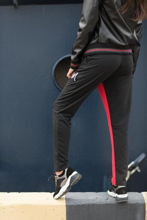 Спортивные штаны с полоской ВЧ-460