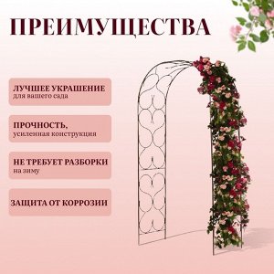 Арка садовая, 230 * 120 * 51 см, для вьющихся растений, металлическая, бронзовая