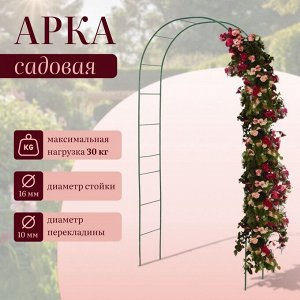 Арка садовая, 240 * 125 * 36.5 см, для вьющихся растений, металлическая, зелёная, Greengo