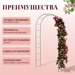 Арка садовая, 240 * 125 * 36.5 см, для вьющихся растений, металлическая, зелёная, Greengo