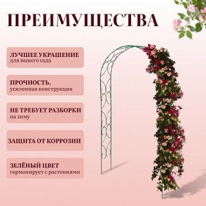 Арка садовая, 250 * 120 * 30 см, для вьющихся растений, металлическая, зелёная, «Узор-2»