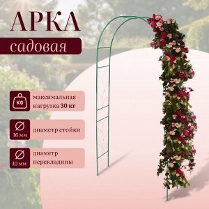 Арка садовая, 240 * 120 * 36.5 см, для вьющихся растений, металлическая, зелёная, «Веточка», Greengo