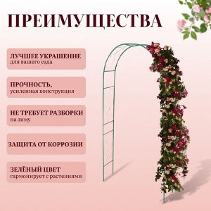 Арка садовая, 240 * 120 * 36.5 см, для вьющихся растений, металлическая, зелёная, «Веточка», Greengo