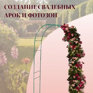 Арка садовая, 240 * 120 * 36.5 см, для вьющихся растений, металлическая, зелёная, «Веточка», Greengo