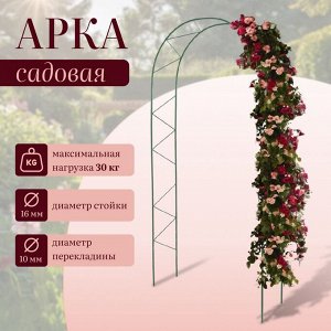 Арка садовая, 240 * 125 * 36.5 см, для вьющихся растений, металлическая, зелёная, «Ёлочка», Greengo