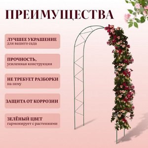 Арка садовая, 240 * 125 * 36.5 см, для вьющихся растений, металлическая, зелёная, «Ёлочка», Greengo
