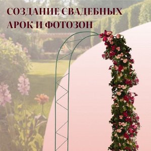 Арка садовая, 240 * 125 * 36.5 см, для вьющихся растений, металлическая, зелёная, «Ёлочка», Greengo