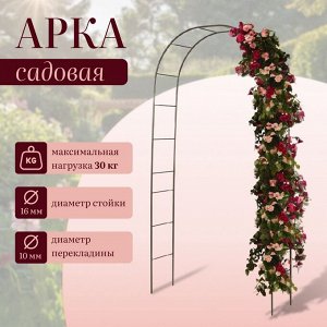 Арка садовая, 240 * 125 * 36.5 см, для вьющихся растений, металлическая, бронзовая