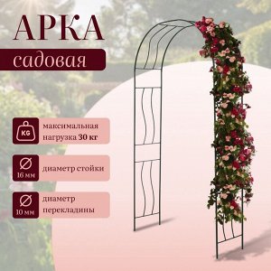 Арка садовая, 240 * 125 * 36,5 см, для вьющихся растений, металлическая, зелёная, «Волна»
