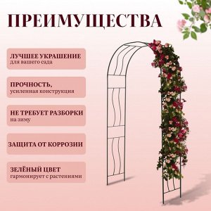 Арка садовая, 240 * 125 * 36,5 см, для вьющихся растений, металлическая, зелёная, «Волна»