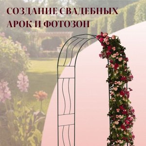 Арка садовая, 240 * 125 * 36,5 см, для вьющихся растений, металлическая, зелёная, «Волна»