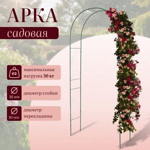 Арка садовая, 240 * 120 * 36 см, для вьющихся растений, металлическая, зелёная, «Вьюнок»