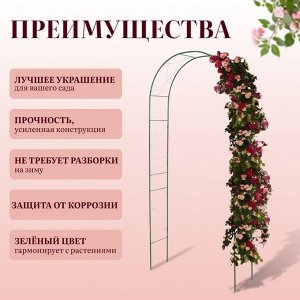 Арка садовая, 240 * 120 * 36 см, для вьющихся растений, металлическая, зелёная, «Вьюнок»