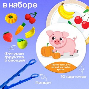 Набор для сортировки «Вкусная тарелка», по методике Монтессори, 20 заданий, 3+