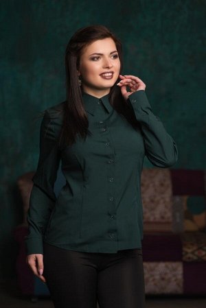 Классическая женская блузка ПР-5065