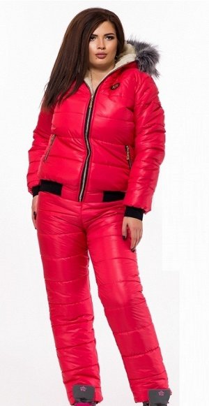 Женский лыжный костюм большого размера ЕС-М141