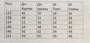 Детская демисезонная куртка для девочек АР-716