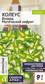 Цветы Колеус Визард Магический Нефрит/Сем Алт/цп 5 шт.