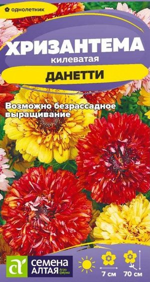 Цветы Хризантема Данетти килеватая/Сем Алт/цп 0,1 гр.