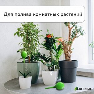 Автополив для комнатных растений, h=28 см, 380 мл, пластик, набор 2 шт., зелёный, Greengo