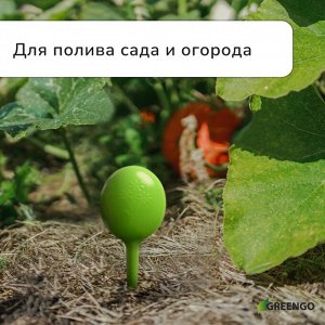Автополив для комнатных растений, h=28 см, 380 мл, пластик, набор 2 шт., зелёный, Greengo