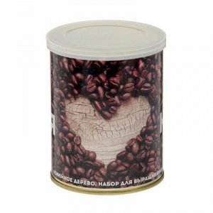 Растущая травка в банке "Я люблю кофе" (кофейное дерево)