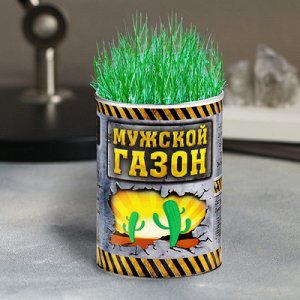 Прорастайка в консервной банке "Мужской газон" зеленая трава