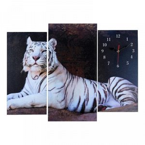 Часы настенные модульные «Белый тигр», 60 ? 80 см
