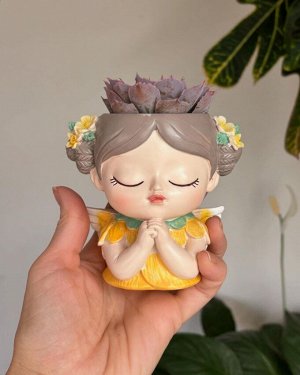 Суккулент в горшке-девочке