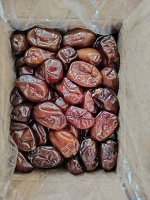 Финик yazdan date