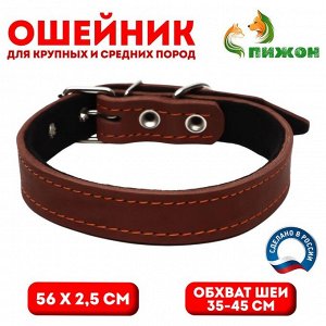 Ошейник кожаный на синтепоне, 56 х 2.5 см, ОШ 35-45 см, коричневый