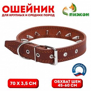 Ошейник кожаный "Строгий шип", 70 х 3,5 см, ОШ 45-60 см, коричневый