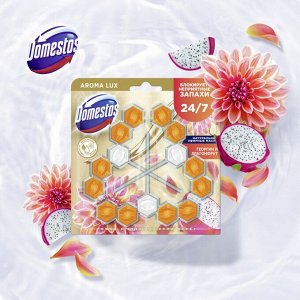 Domestos Доместос Блок для унитаза Power 5 Трио &quot;Экзотический букет&quot; 3х50 г