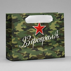 Пакет подарочный ламинированный горизонтальный, упаковка, «С 23 февраля», S 15 х 12 х 5.5 см