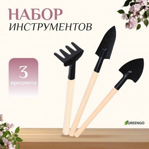 Набор инструментов, 3 предмета: грабли, 2 лопатки, длина 24 см, деревянные ручки