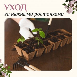 Набор инструментов, 3 предмета: грабли, 2 лопатки, длина 24 см, деревянные ручки