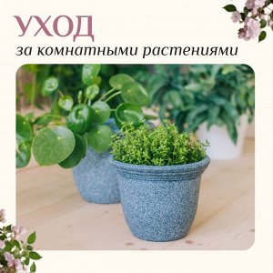 Набор инструментов, 3 предмета: грабли, 2 лопатки, длина 24 см, деревянные ручки