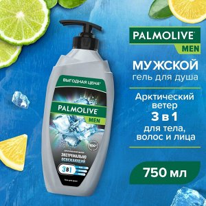 Палмолив Гель для душа и шампунь 3в1 "Арктический ветер" 750 мл
