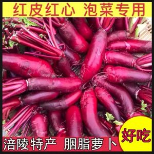 Помидом Сычуаньская красная редька лоба Фулин - 四川红心萝卜 - Sìchuān hóngxīn luóbo