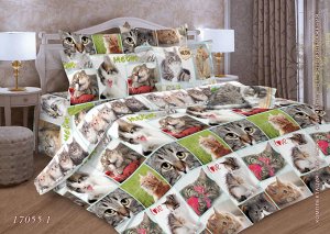 Комплект постельного белья Евростандарт, бязь  ГОСТ (Галерея кошек)