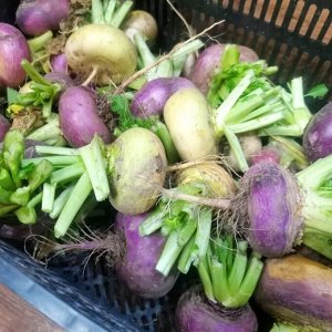 Помидом Репа Русская
