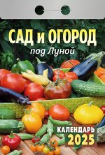 Календарь отрывной 2025 &quot;Сад и огород под луной&quot;