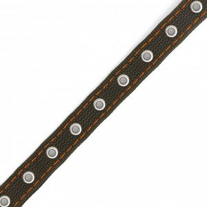 Ошейник брезентовый безразмерный двухслойный, 50x2 см, ОШ 22-45 см