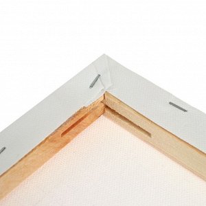 Calligrata Набор холстов на подрамнике, 4 штуки, хлопок 100%, размер (24x30, 30x40, 40x50, 50x70 см), акриловый грунт, среднезернистый, 380 г/м²