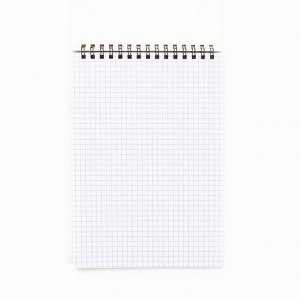 Блокнот А5, 40 л., обложка картон «Коты»