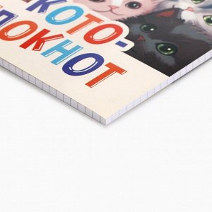 Блокнот А5, 40 л., обложка картон «Коты»