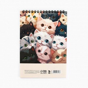 Блокнот А5, 40 л., обложка картон «Коты»